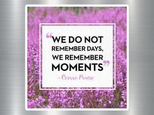 We Do Not Remember Days, We Remember Moments Magnet, Cesare Pavese, Purple Flower Fields Background, Mindfulness Magnet Gift Idea