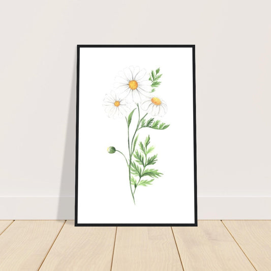 Daisy Watercolor Print, Wildflower Botanical Wall Art, Floral Wall Art, Shasta Daisy Watercolor Picture, Mother's Day Gift 2024